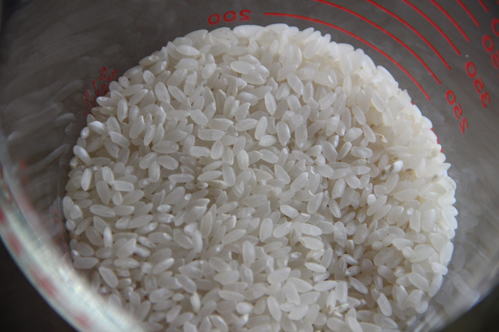 Rice