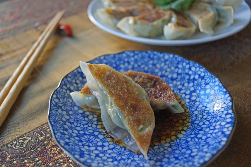 shrimp gyoza