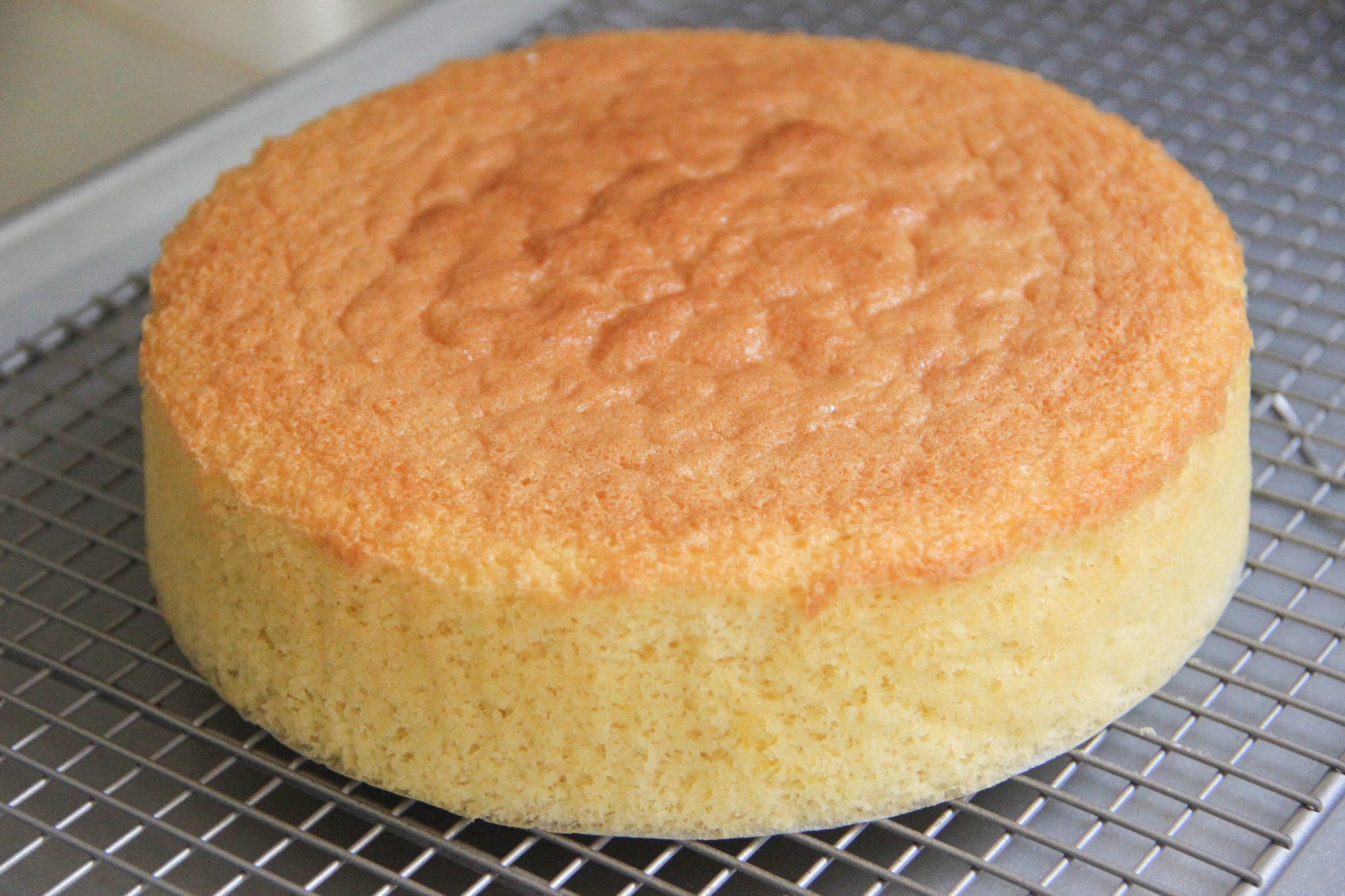 Sponge Cake Recipe