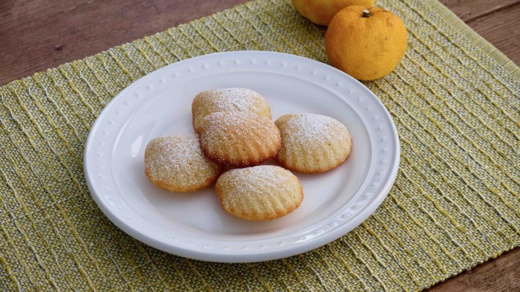 Yuzu Madeleines